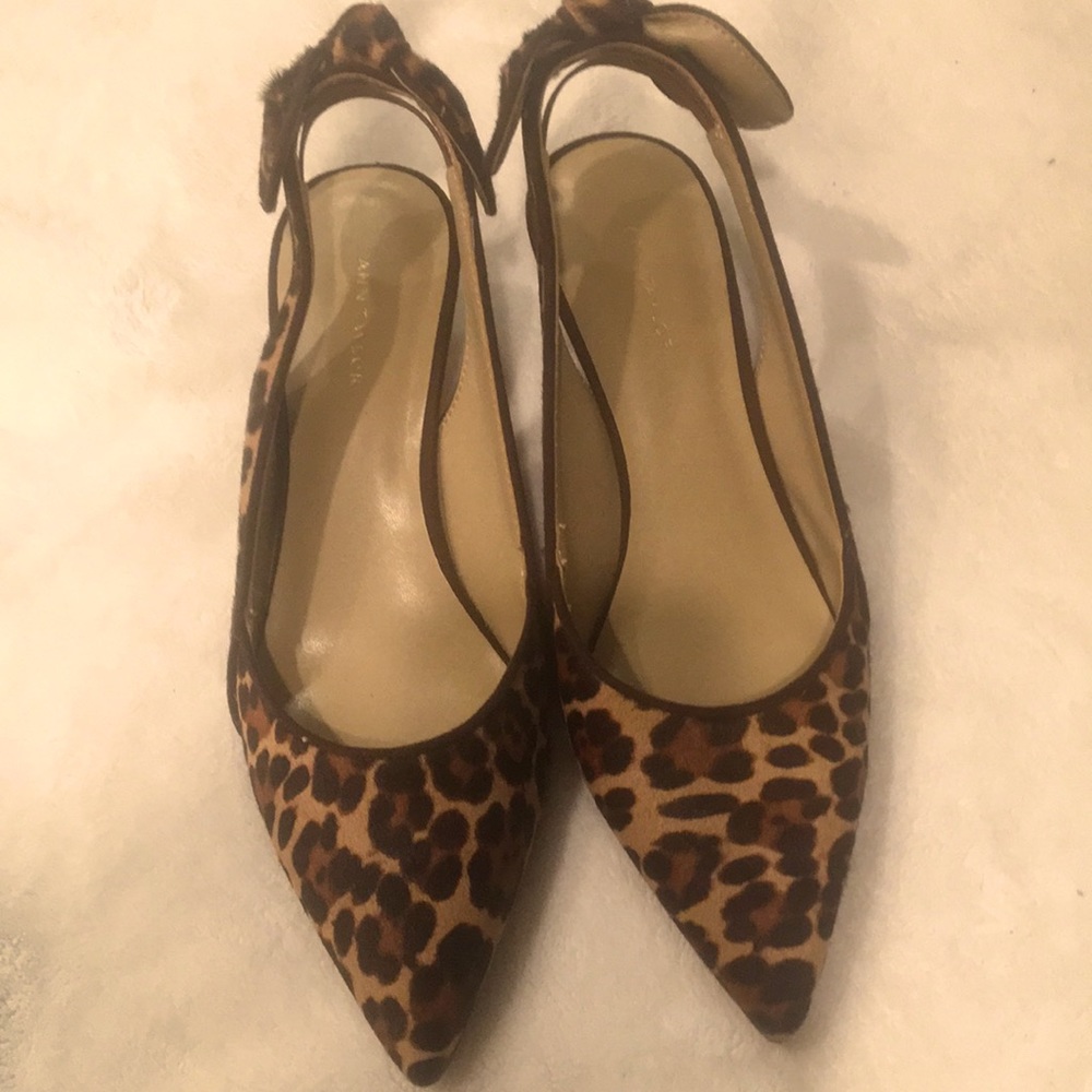 Ann Taylor Leopard Print calfhair slingback kitten
